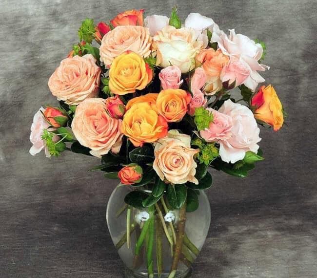 t4_5c504fcabef64be490b1bc7179694f16_mast