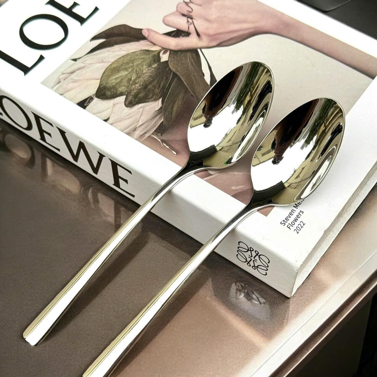 Thìa inox cao cấp Villeroy 21cm