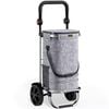 Xe đi chợ Monzana 3 in 1 nội địa Đức