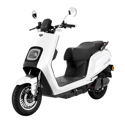 Xe điện Evgo D