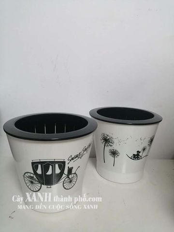 Chậu cây - Chậu cây thông minh