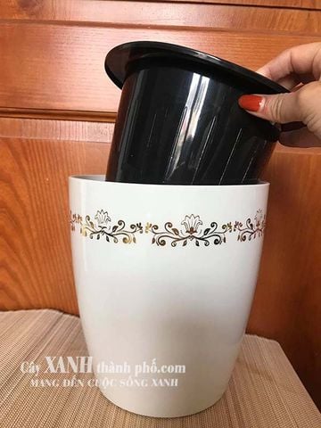 Chậu trồng cây - Chậu trồng cây tự tưới