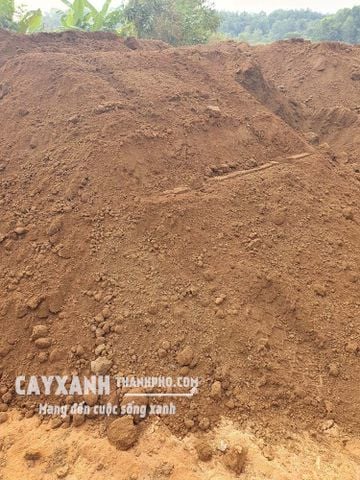 Đất đỏ Bazan mua ở đâu chuẩn chất lượng, giá tốt?
