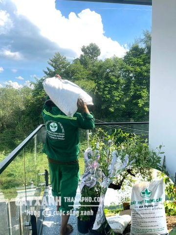 Đất Thịt trồng cây Đa Dụng Đại Phúc - Đất sạch dùng liền tiện lợi, giàu dinh dưỡng