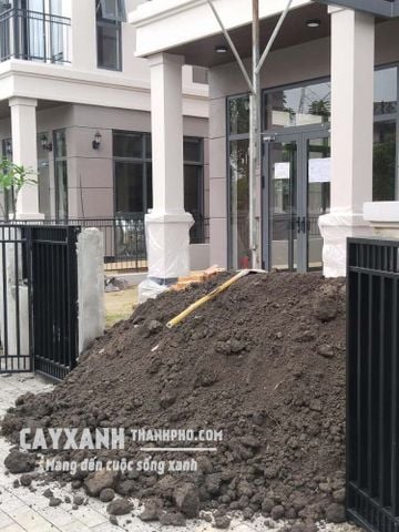 Cung Cấp Đất Thịt Trồng Cây M3 Giá Rẻ, Chất Lượng - Đất Nguồn Gốc Đảm Bảo Sạch Sẽ (Đất vườn)