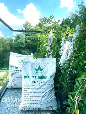 Đất thịt phù hợp trồng cây gì phát triển tốt nhất?