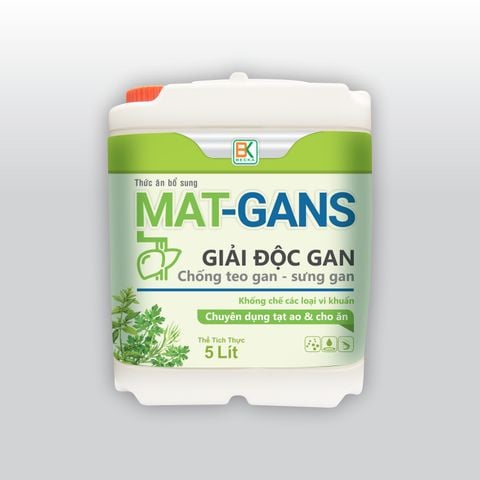  MAT-GANS - Can 5 Lít (BKNH74.08 - BT-GG07) 