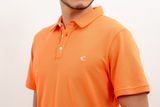  Áo Polo cộc tay 