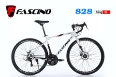 Xe đạp đua Fascino 828