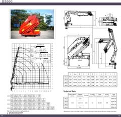 cau lap dau keo 38 tan bs560 5