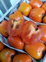 Hồng 8 Hải Đà lạt - kg