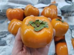 Hồng 8 Hải Đà lạt - kg