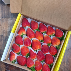 Dâu tây Thủy Canh nhà kính - hộp 500gr