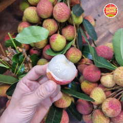 Vải trứng hàng máy bay - kg