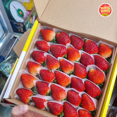 Dâu tây Thủy Canh nhà kính - hộp 500gr