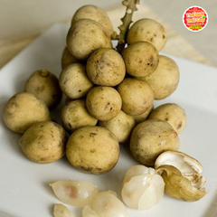 Bòn bon Thái size nhỏ - kg