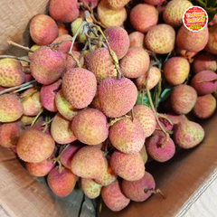 Vải trứng hàng máy bay - kg