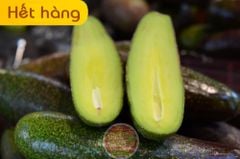 Bơ mini không hạt