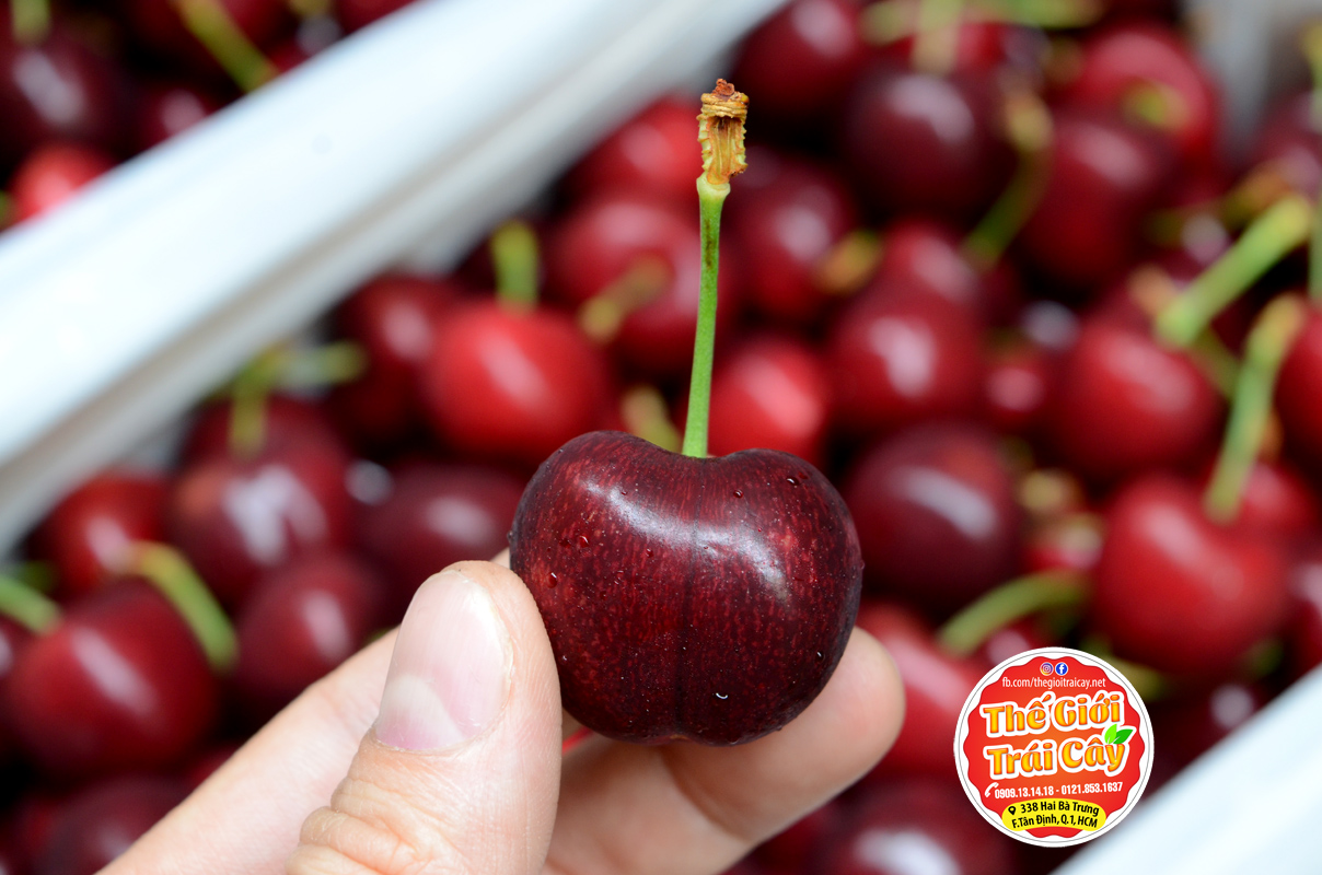 Cherry Lani Newzealand Premium – Thế Giới Trái Cây