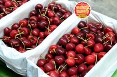 Cherry Lani New Zealand Premium size 30_32mm - hộp 500gr