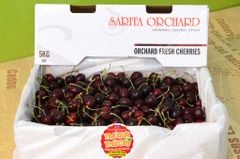 Cherry Sarita Orchard New Zealand size 26+ - hộp 500gr