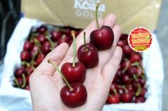 Cherry Úc Koala Gold Premium size 28_30mm - hộp 500gr