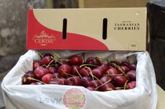 Cherry Úc Cerise Tasmania size 32_34mm
