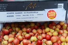 Cherry vàng Mỹ Morada size 8.5 - hộp 500gr