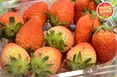 Dâu Hàn quốc Golden Fruit - hộp 250gr