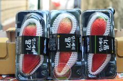 Dâu King Berry Hàn quốc - hộp 2 quả