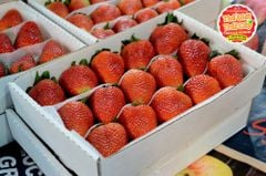 Dâu Mỹ Montery - hộp 300gr