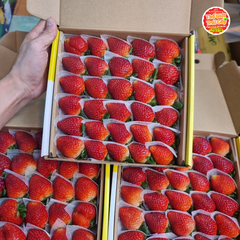 Dâu tây Thủy Canh nhà kính - hộp 500gr