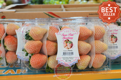 Dâu trắng SnowPink Hàn quốc - hộp 330gr