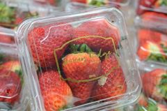 Dâu Úc Sunny Ridge - hộp 250gr