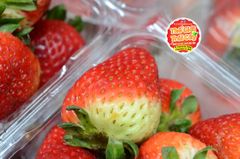 Dâu Úc Sunny Ridge - hộp 250gr