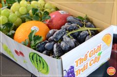 Hộp quà trái cây  MS05 - hộp