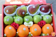 Set quà tặng trái cây MS06 - hộp