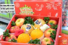 Set quà tặng trái cây MS09 - hộp