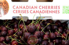 Cherry đỏ Canada Jealous Fruit size 9 - hộp 500gr