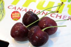 Cherry đỏ Canada Jealous Fruit size 9 - hộp 500gr