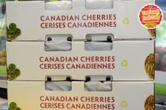 Cherry đỏ Canada Jealous Fruit size 9 - hộp 500gr