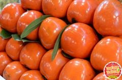 Hồng vuông đồng Đà lạt - kg