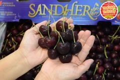 Cherry đỏ Canada Sandher size 9.5 - hộp 500gr