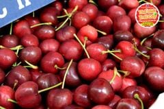 Cherry đỏ M&R Mỹ size 9.5 - hộp 500gr