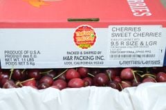 Cherry đỏ M&R Mỹ size 9.5 - hộp 500gr