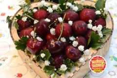 Cherry Chile size 3JD - hộp 500gr