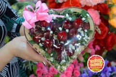 Cherry Chile size 3JD - hộp 500gr