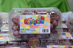 Nho đỏ kẹo Candy Land Mỹ 454gr - hộp