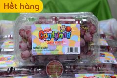 Nho đỏ kẹo Candy Land Mỹ 454gr - hộp