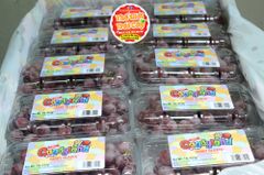 Nho đỏ kẹo Candy Land Mỹ - hộp 454gr